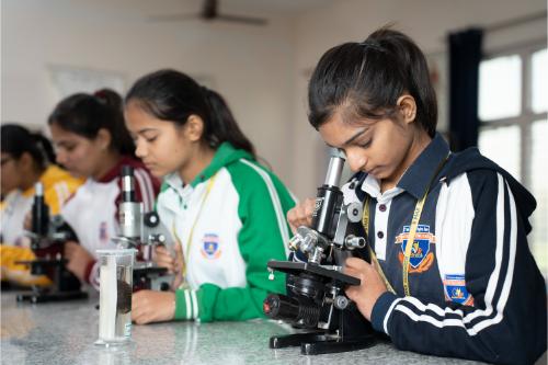 Microscope activity